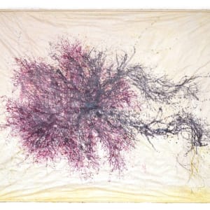 Great Salt Cove Macroalgae #2 by May Babcock 