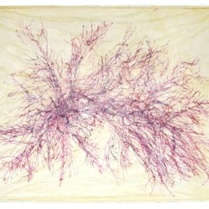 Great Salt Cove Macroalgae #3 by May Babcock 