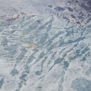 Lates gracilis, 40 million years by May Babcock, Image 3.