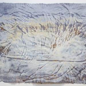 Living Fossils #10: Carax primaevus, 40 million Years by May Babcock