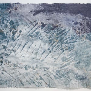 Lates gracilis, 40 million years by May Babcock