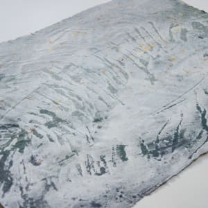 Carox primaevus, 40 million years by May Babcock, Image 2.