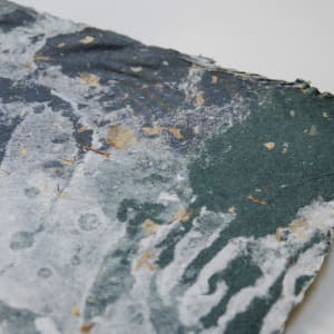 Carox primaevus, 40 million years by May Babcock, Image 4.