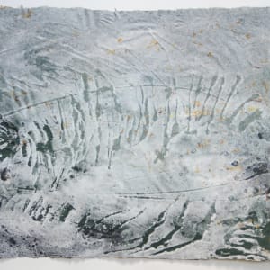 Carox primaevus, 40 million years by May Babcock