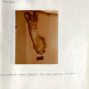 Goitered Gazelle #46 by The Foster's Curator  Image: 1983 collection appraisal 