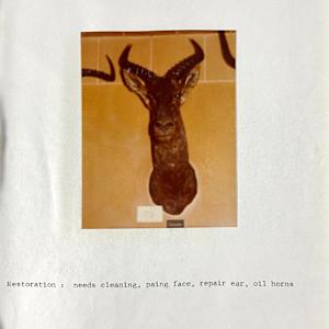 Sassaby #13 by The Foster's Curator  Image: 1983 collection appraisal 