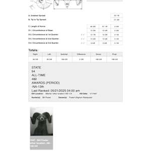 Bighorn Sheep #189 *Big Game Record North America* by The Foster's Curator  Image: Boone & Crockett big game record score card 