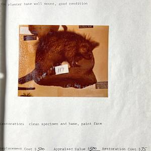 Canadian Porcupine #158 by The Foster's Curator  Image: 1983 collection appraisal 