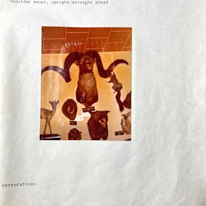 Marco Polo Sheep #153 by The Foster's Curator  Image: 1983 collection appraisal 