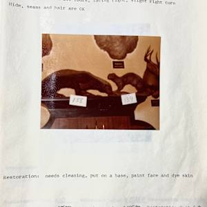 Ratel #146 by The Foster's Curator  Image: 1983 collection appraisal 