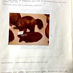 Wolverine #142 by The Foster's Curator  Image: 1983 collection appraisal 