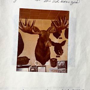 Moose #138 by The Foster's Curator  Image: 1983 collection appraisal 