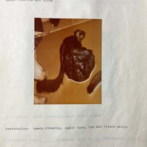 Colobus Monkey #126 by The Foster's Curator  Image: 1983 collection appraisal 