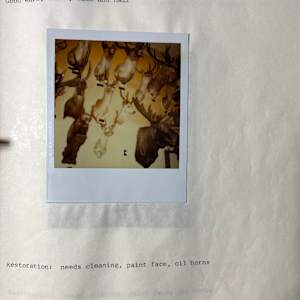 Kansu Deer #108 by The Foster's Curator  Image: 1983 collection appraisal 