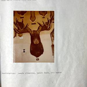 Moose #96 by The Foster's Curator  Image: 1983 collection appraisal 