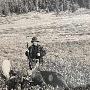Moose #138 by The Foster's Curator  Image: Bill Foster Hunting Photo Collection 