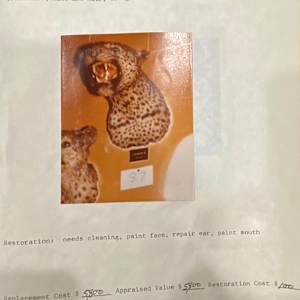 Leopard #7 by The Foster's Curator  Image: 1983 collection appraisal