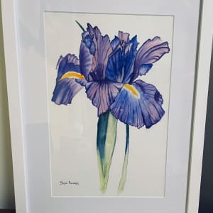 Iris - framed by Gayle Reichelt