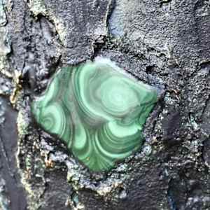 Marvelous Malachite by Rebecca Horne 