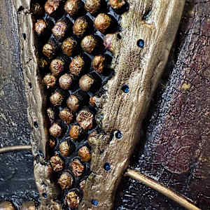 A Thousand Years of Prayer by Rebecca Horne 