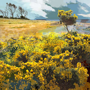 Treescape 8 | Among the Yellow Blossoms by Claire Gill Fine Art