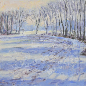 Melting Snow Sunlight and Shadows 2 by Frances Knight