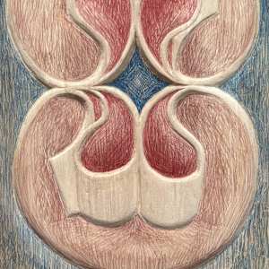 The Opposites by Alanna Hernandez, Image 1.