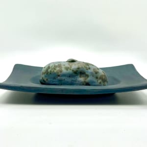 Zen Water Tray and Vase Blur by Nancy Loorem Adams