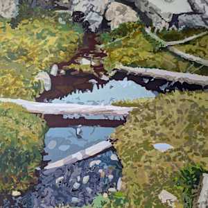 Alpine Fen (Alpine Bog) by Michael Howard