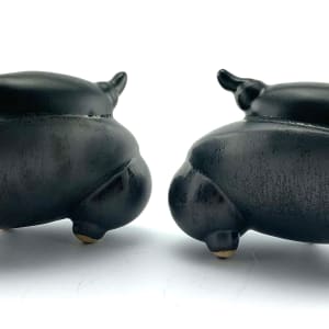 Crabula by Cara Jung