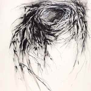 Avian Architecture by Kris Ekstrand