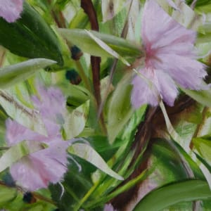 Rhododendron Study 1 by John Smither
