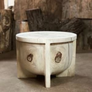 Monkey Puzzle Table by Joel Sayre