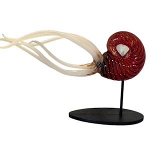 Red Nautilus by Jennifer Caldwell