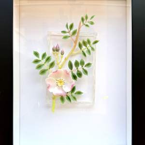 Wild Rose by Janis Miltenberger