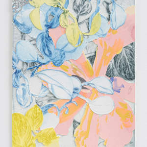 Irradiate by Melissa Mohammadi, Image 2.