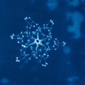 Cyanotype Snowflake collection 
