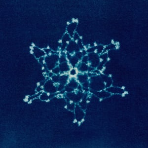 Cyanotype Snowflake collection 