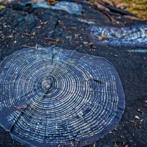 Leylines of Ghost Trees 