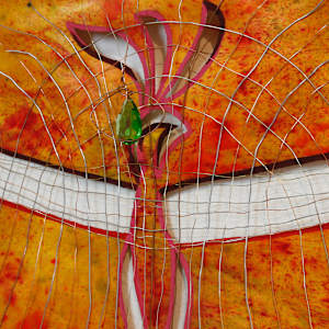 Release the Phoenix by Judy Vienneau, Image 2.