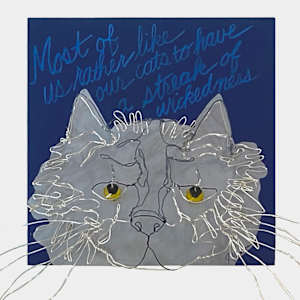 Streak of Wickedness by Judy Vienneau