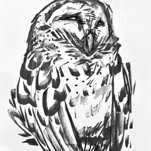 Owl Study by Alec DeJesus