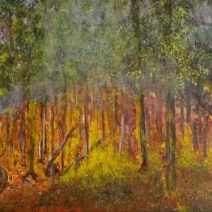 Kaibab Forest Fire, Image 1.