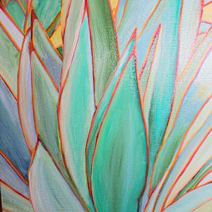 Aloe, Image 2.