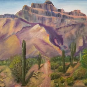 Shadow Cougar in the Superstition Mountians, AZ, Image 1.