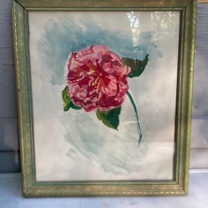 Framed Elizabeth Grant watercolor of a carnation 