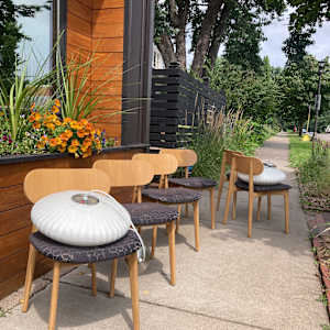 set of 6 Davis dining room chairs 