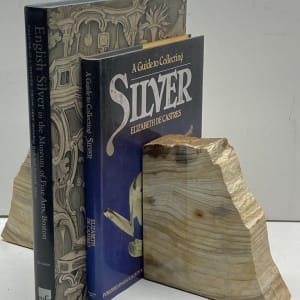 Petrified Sequoia bookends 