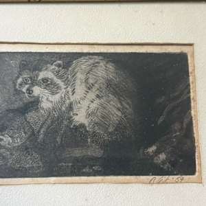 framed etching of raccoons, Image 2.