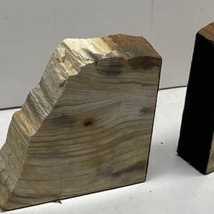 Petrified Sequoia bookends 